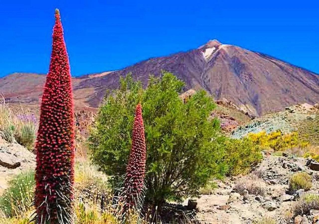 Вилла Casita Lola Tenerife Sur Сан Мигель